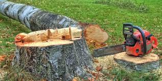 Best Firewood Processing and Delivery  in Rockville, IN